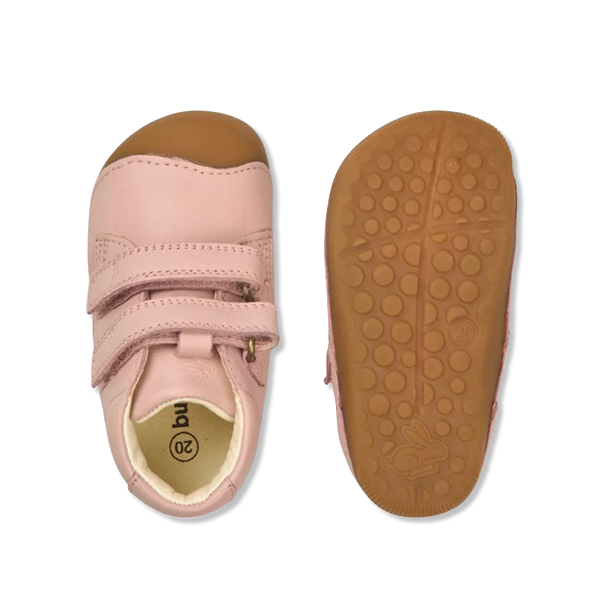 Petit old rose First walkers