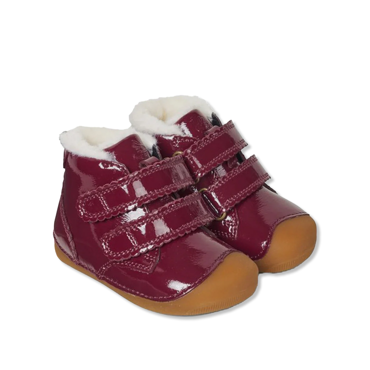 Petit winter scallop berry First walkers