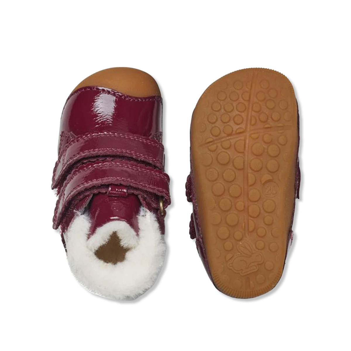 Petit winter scallop berry First walkers