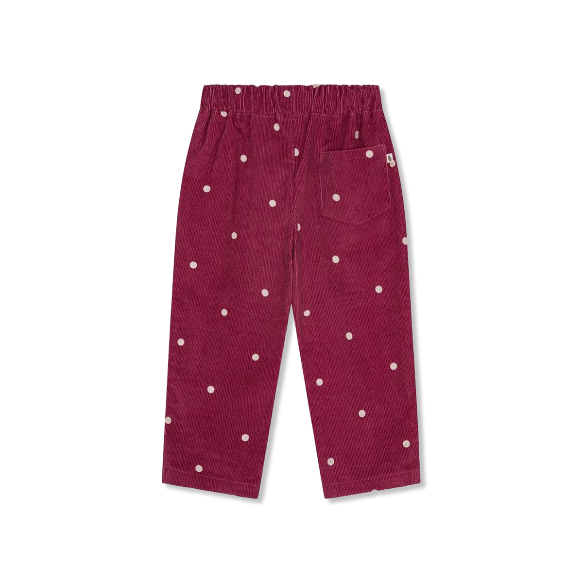 Corduroy Pants