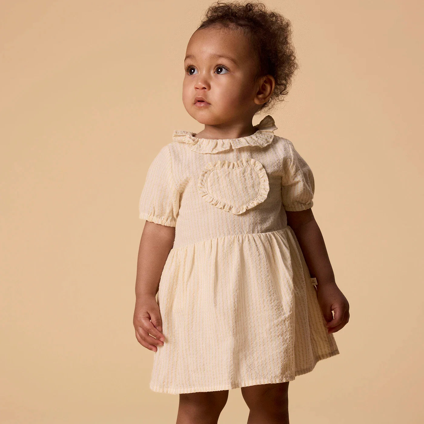 Nbffolly Dress