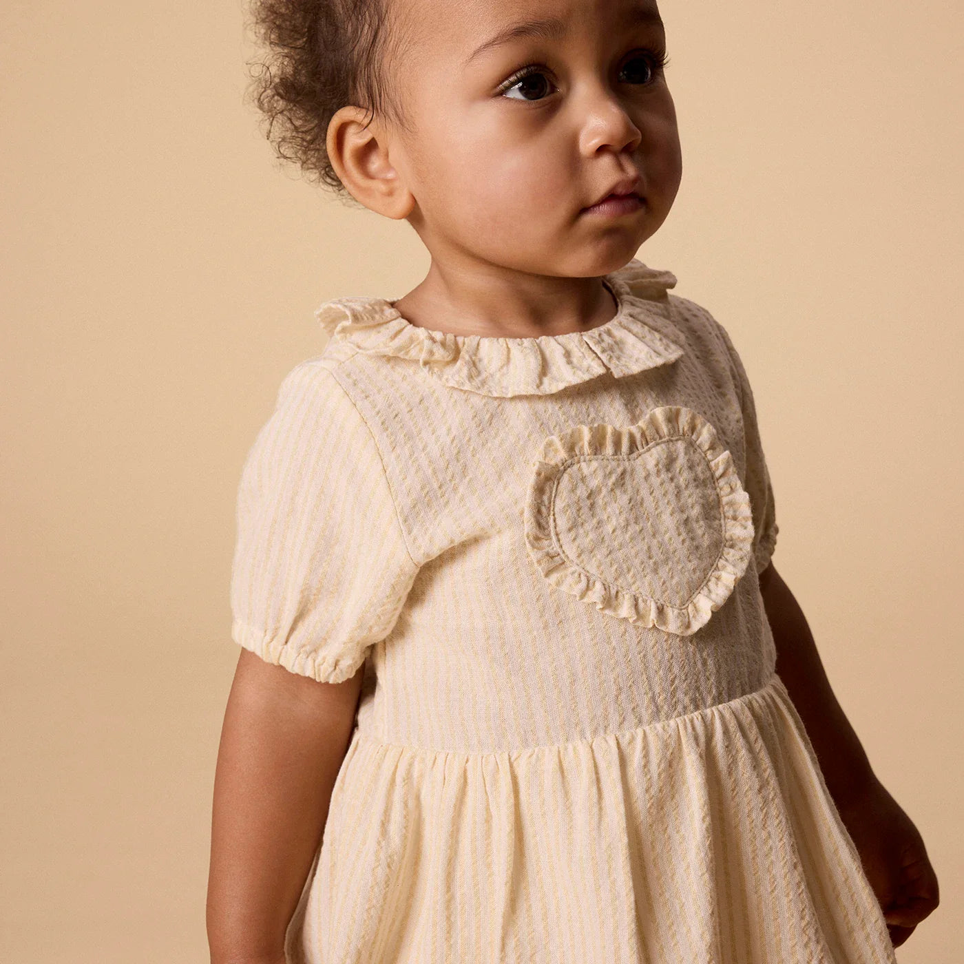 Nbffolly Dress