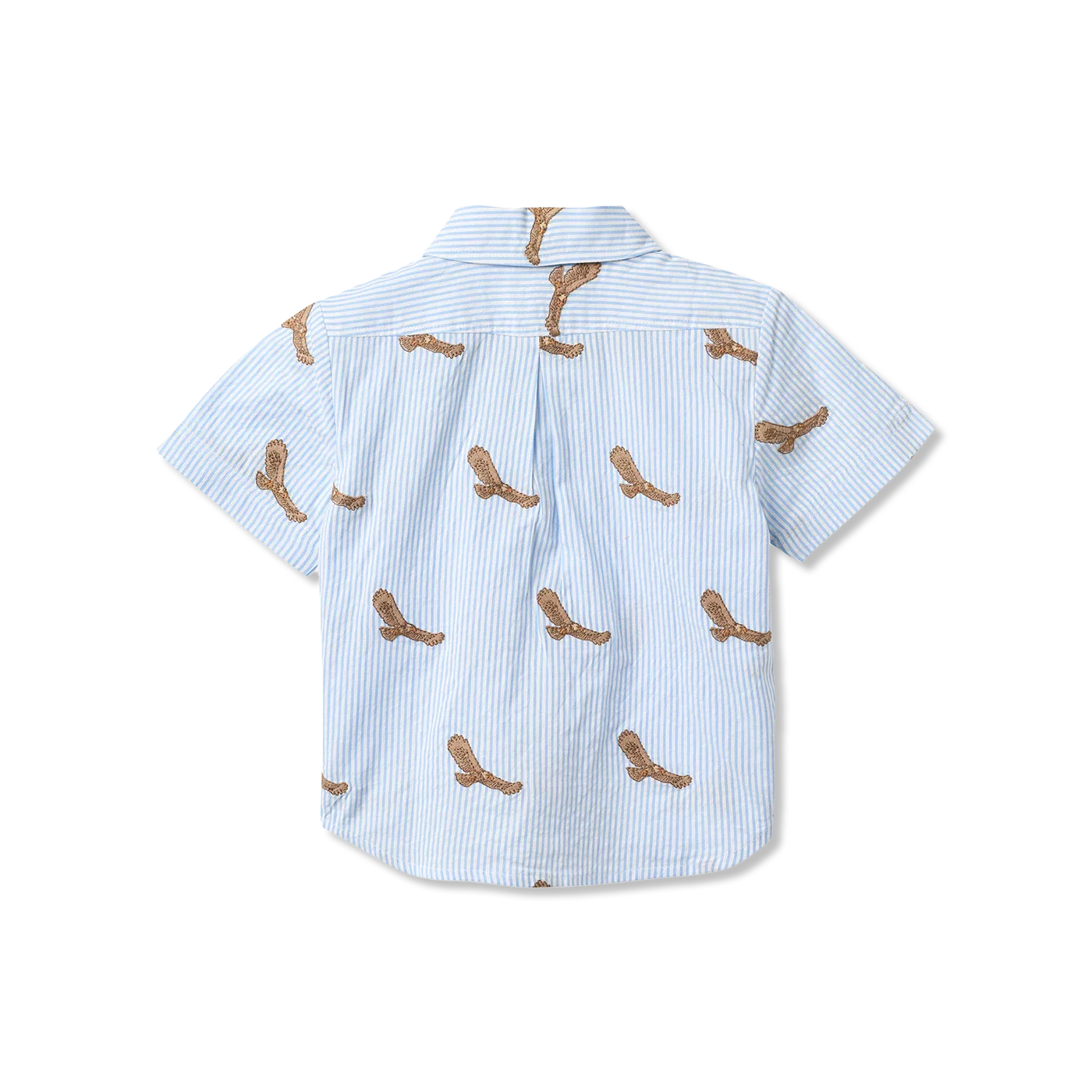 Shirt Shirt