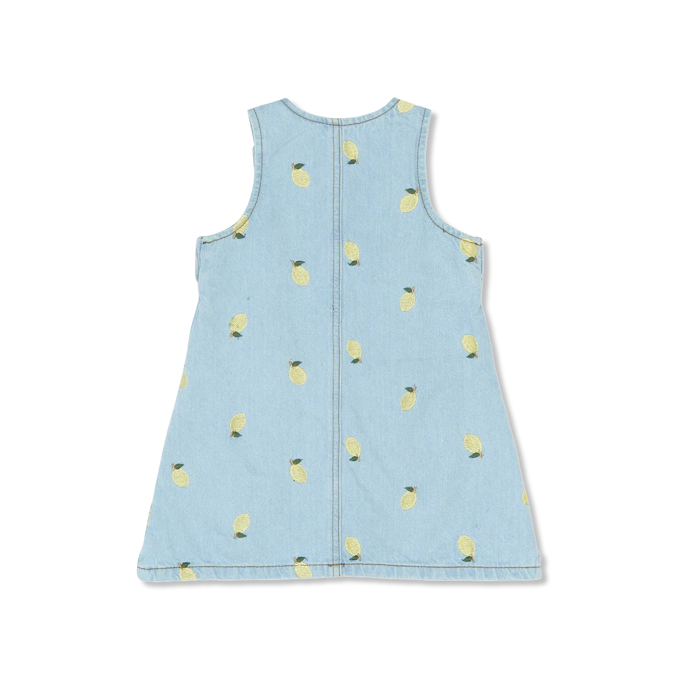 TNSTSaja dress