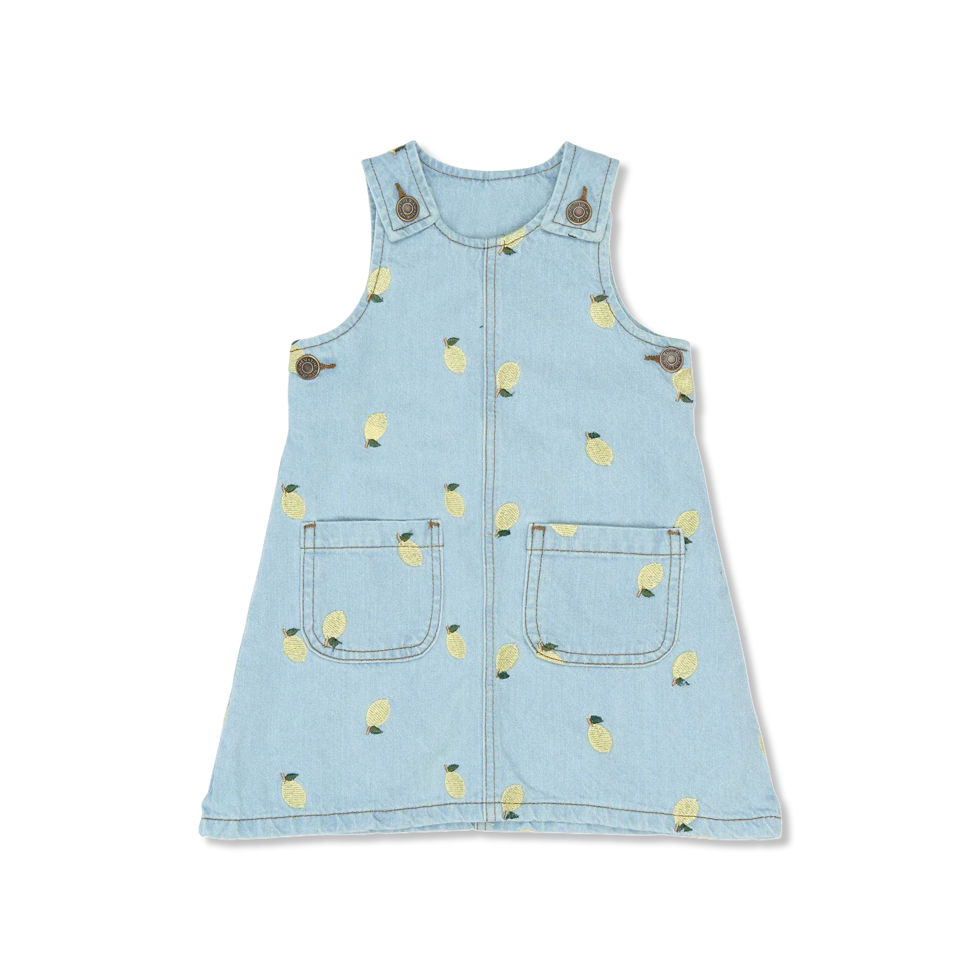 TNSTSaja dress