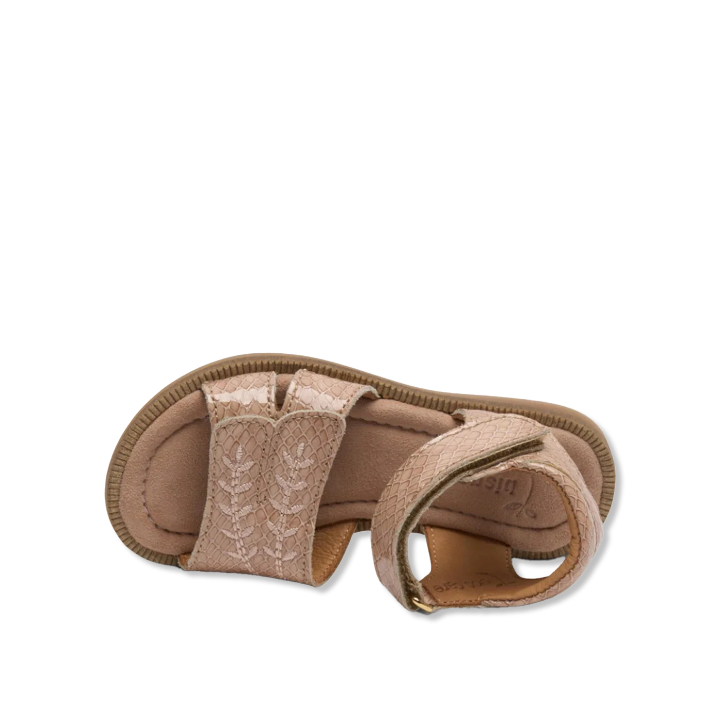 Alexa o sandals