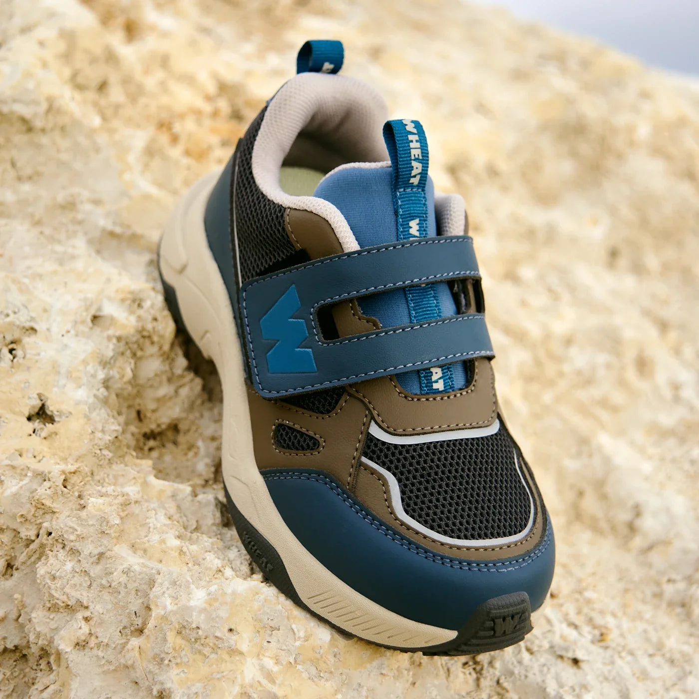 Cove Sneaker
