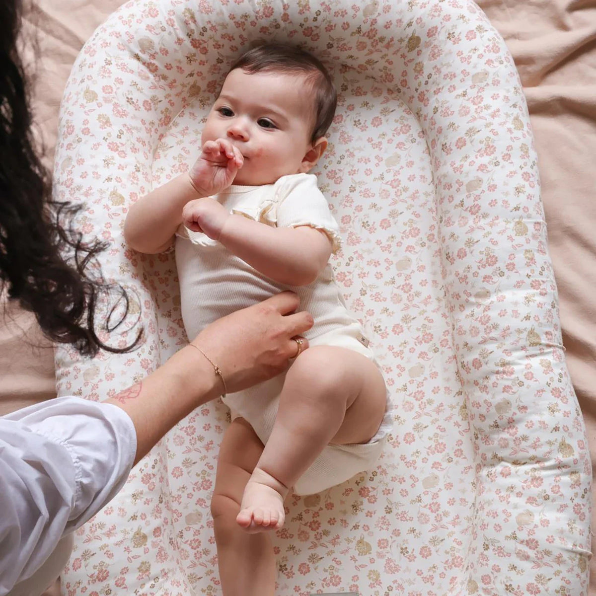 Augusta Baby nest