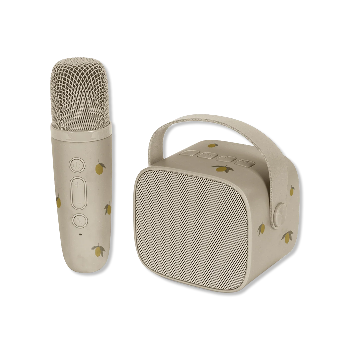 Kids Microphone