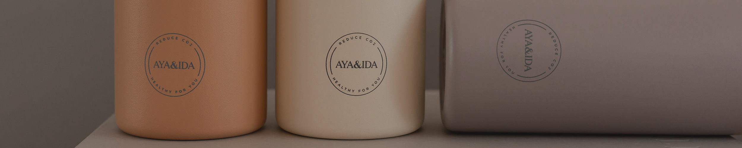 AYA&IDA
