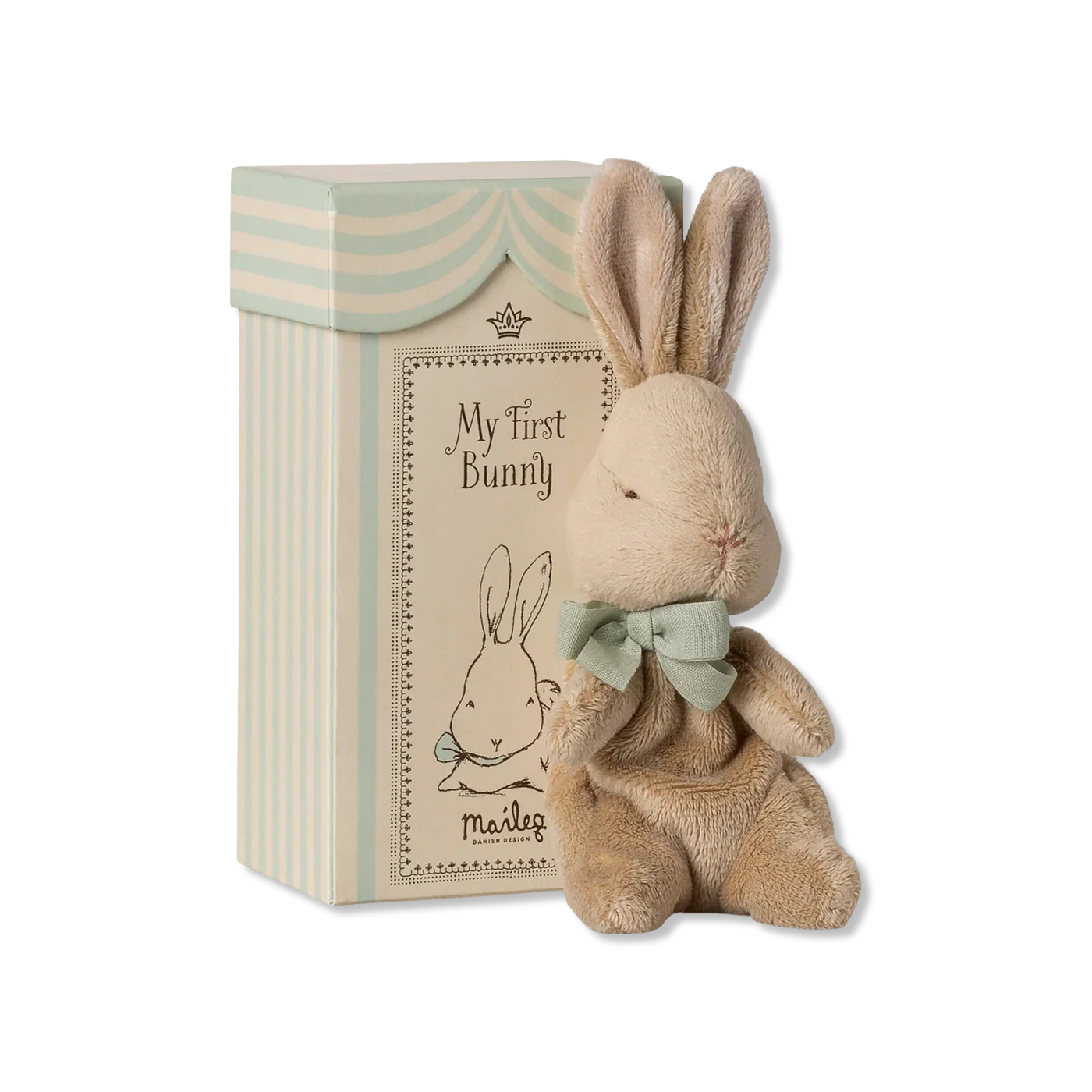 My first bunny Teddy