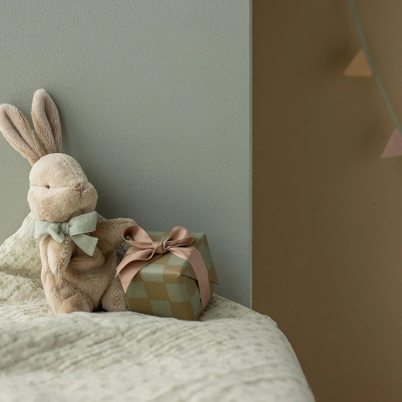 My first bunny Teddy