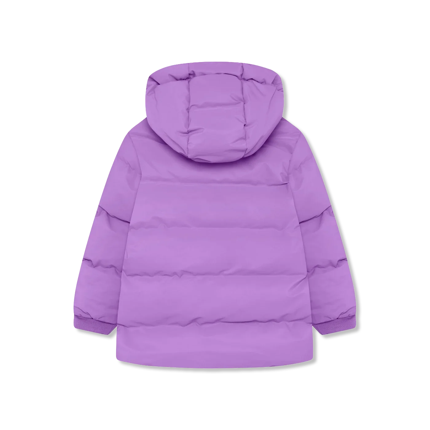 Winter jacket