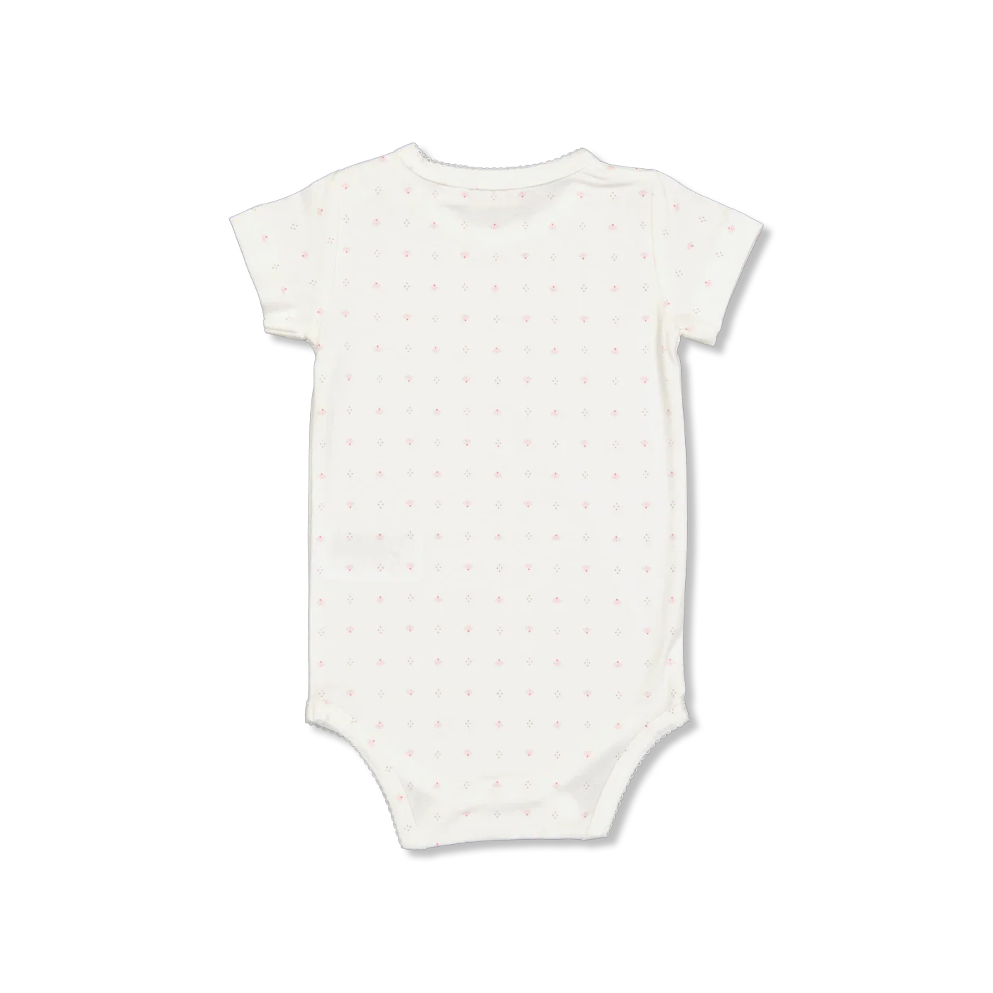 Plain body ss Body