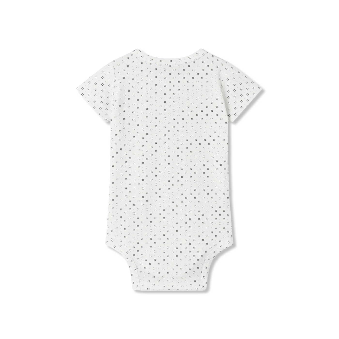 Plain body ss Body