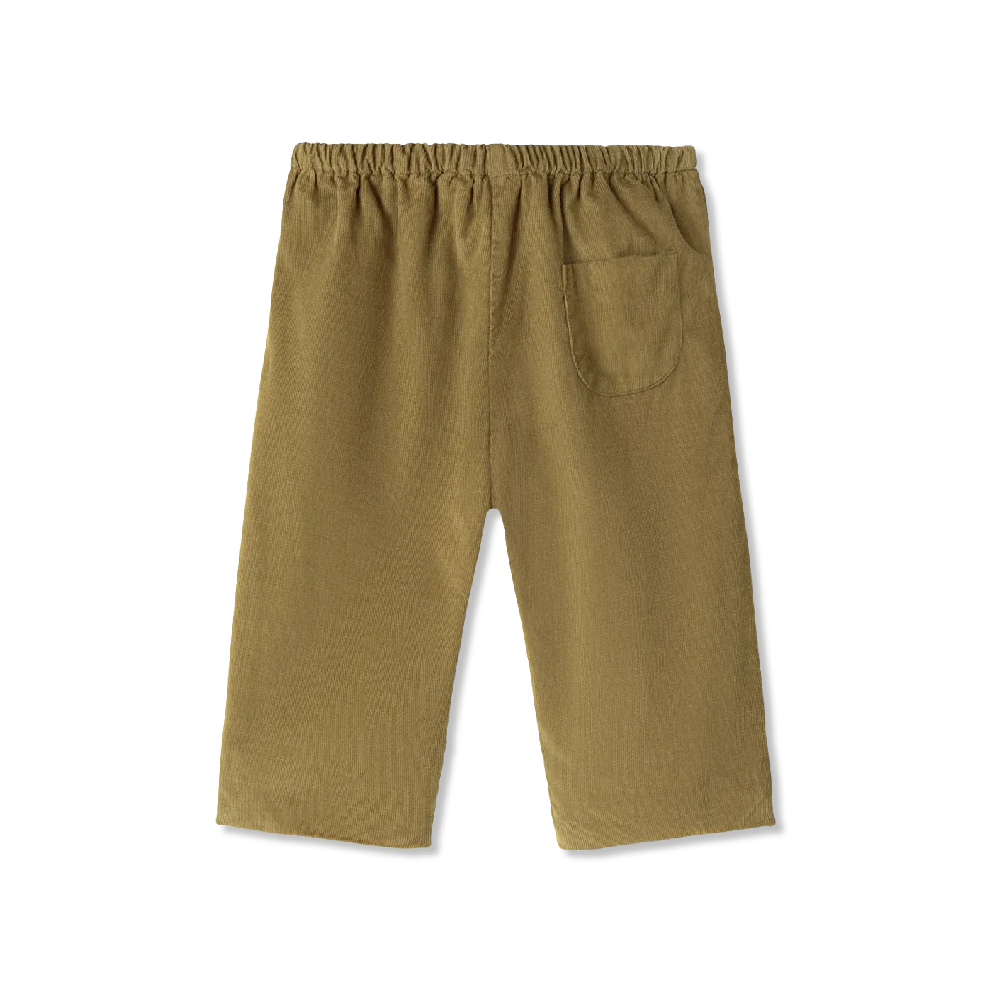Panto Pants