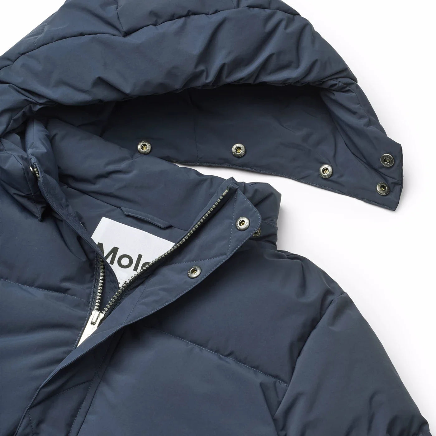 Hayden Winter jacket