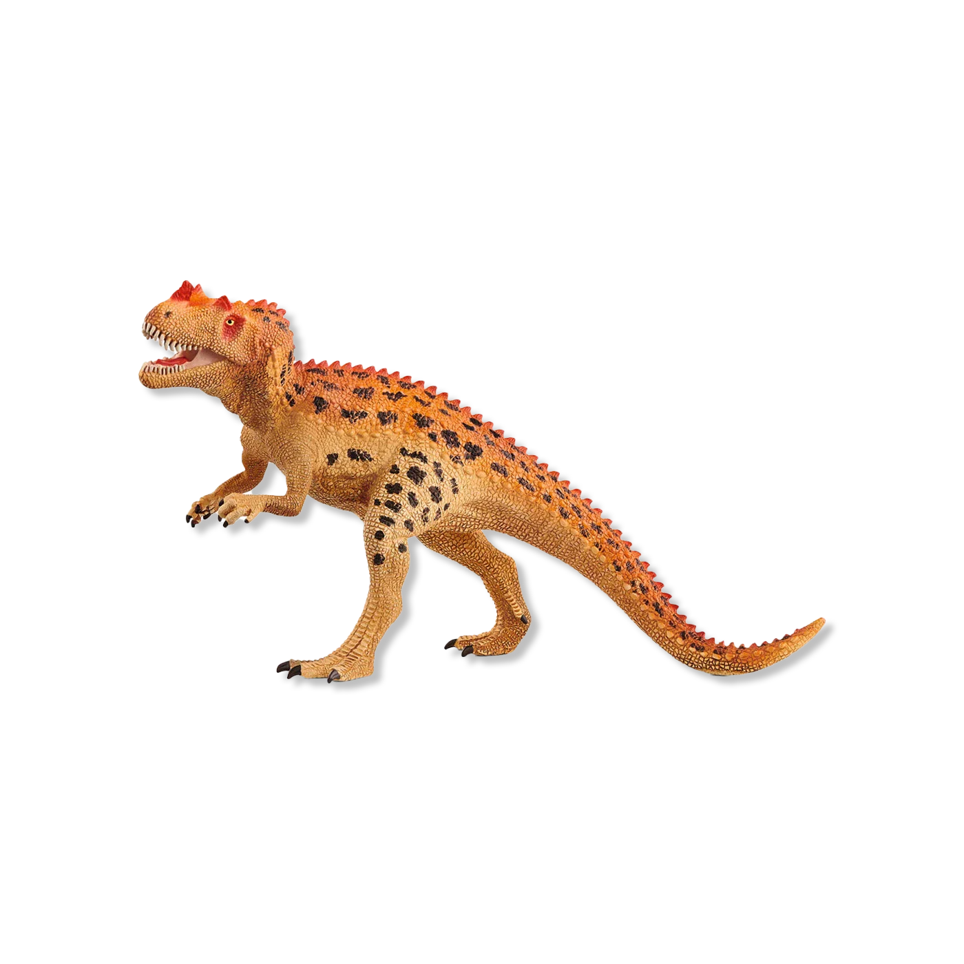 Ceratosaurus animals & figures