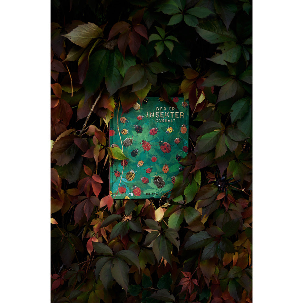 Book