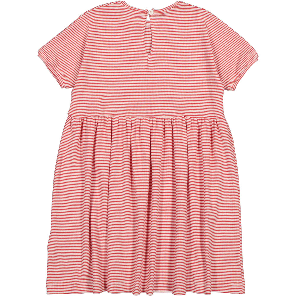 Dioa dress