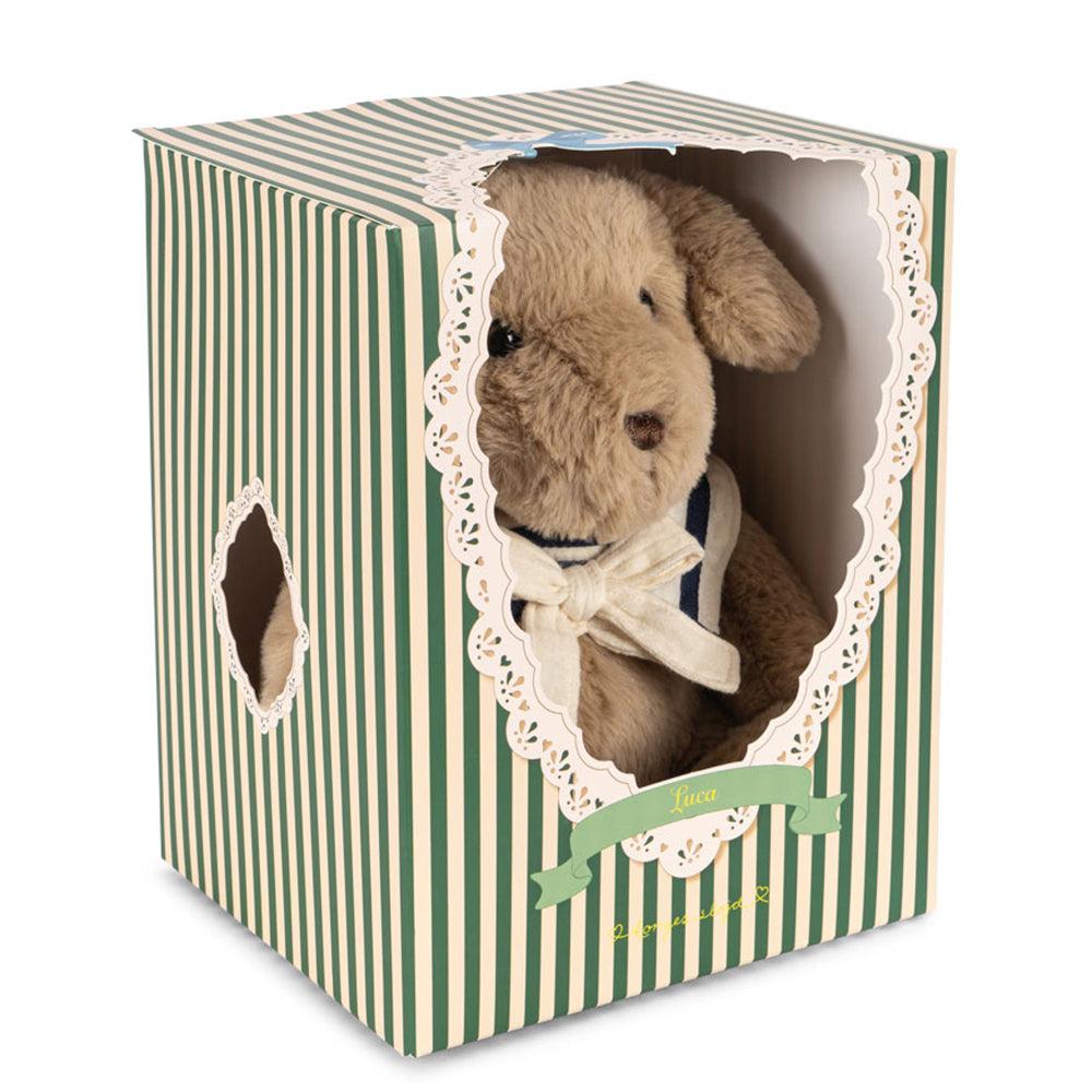 LUCA teddy