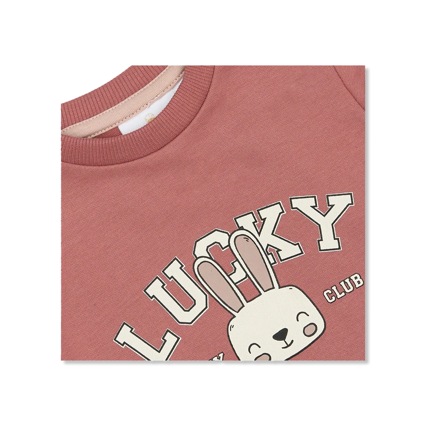 TNSBPheba sweatshirts