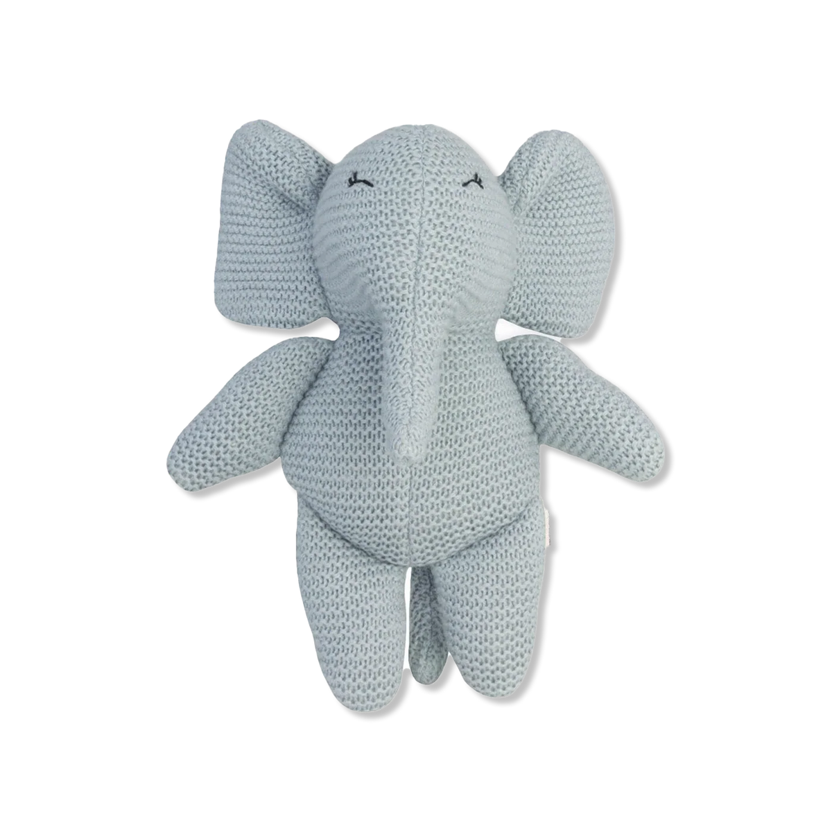 Elvy teddy