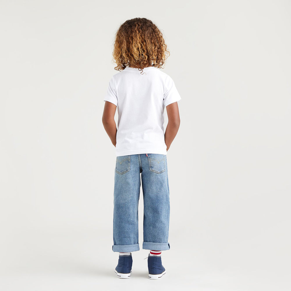 LVB STAT LOOSE jeans