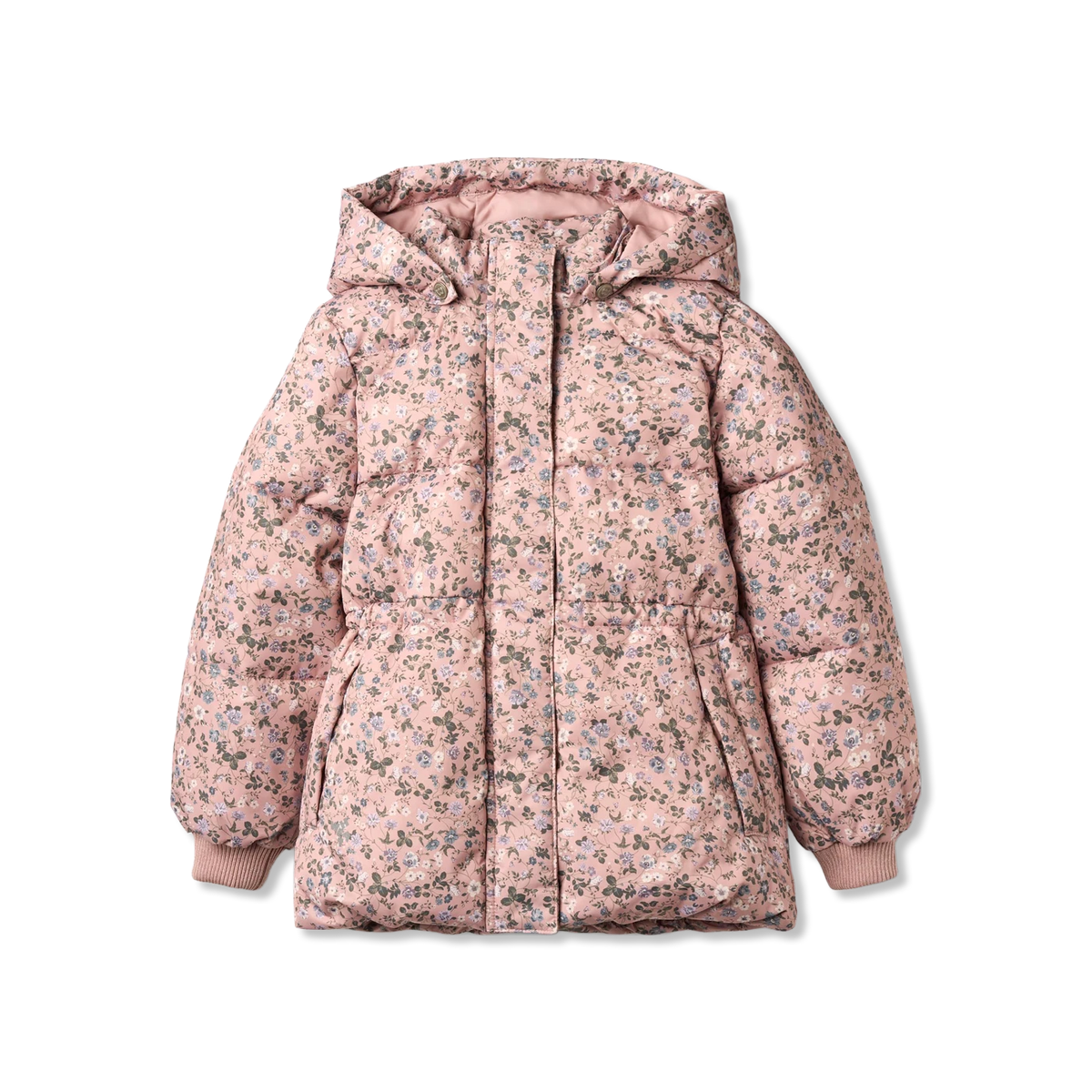Eli Winter jacket