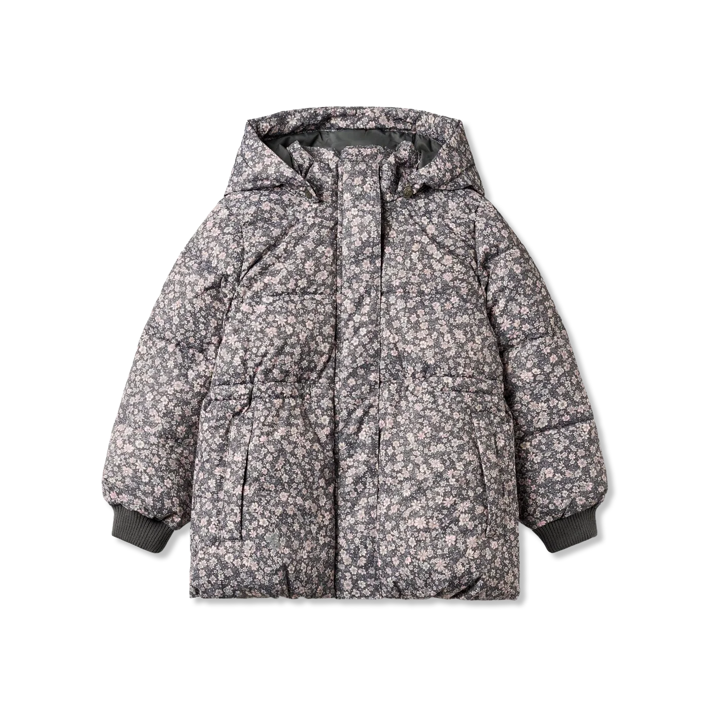 Eli Winter jacket
