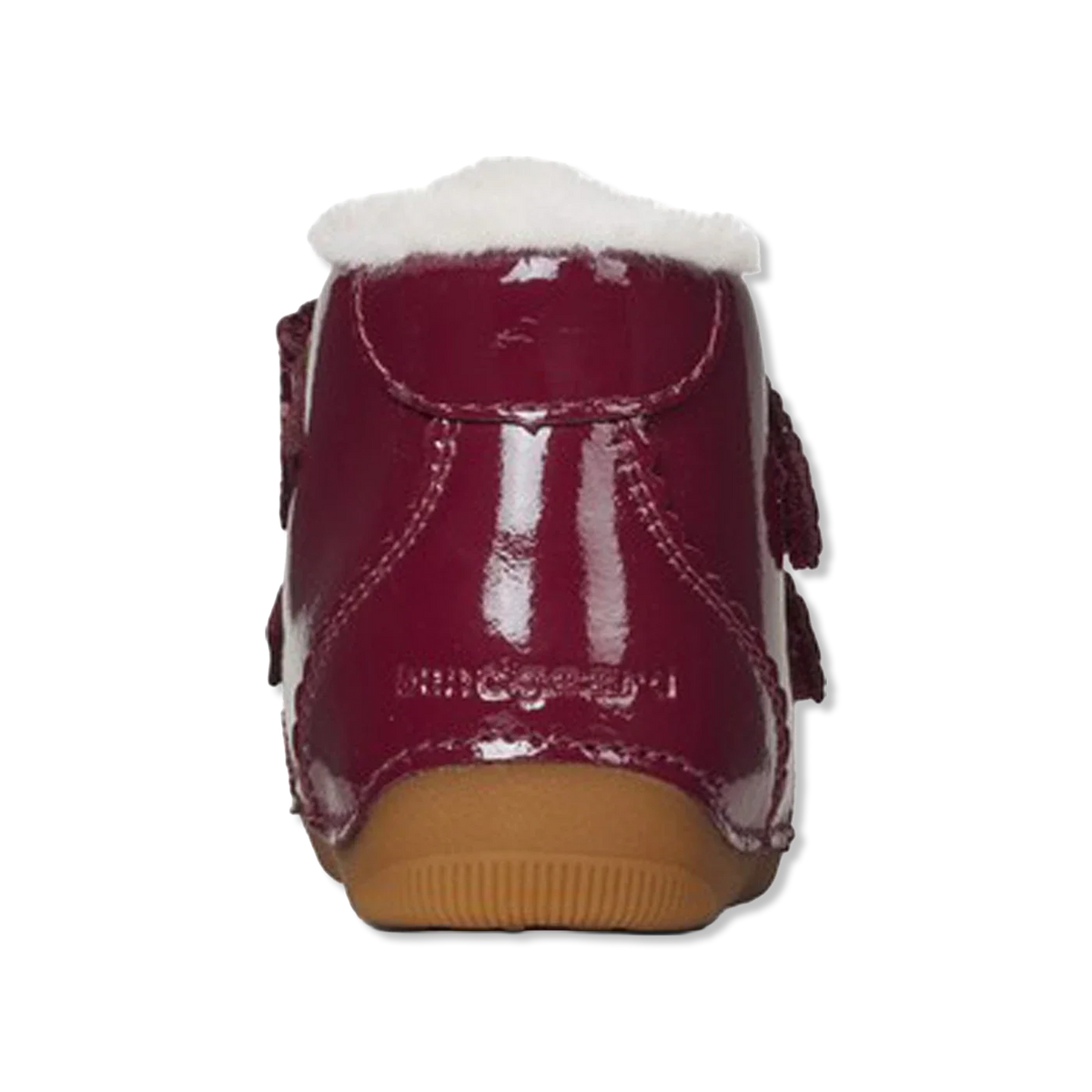 Petit winter scallop berry First walkers