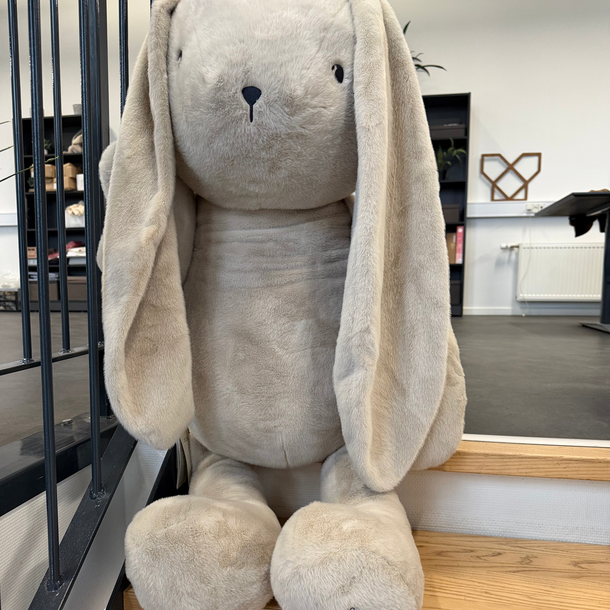 Benson Soft toy