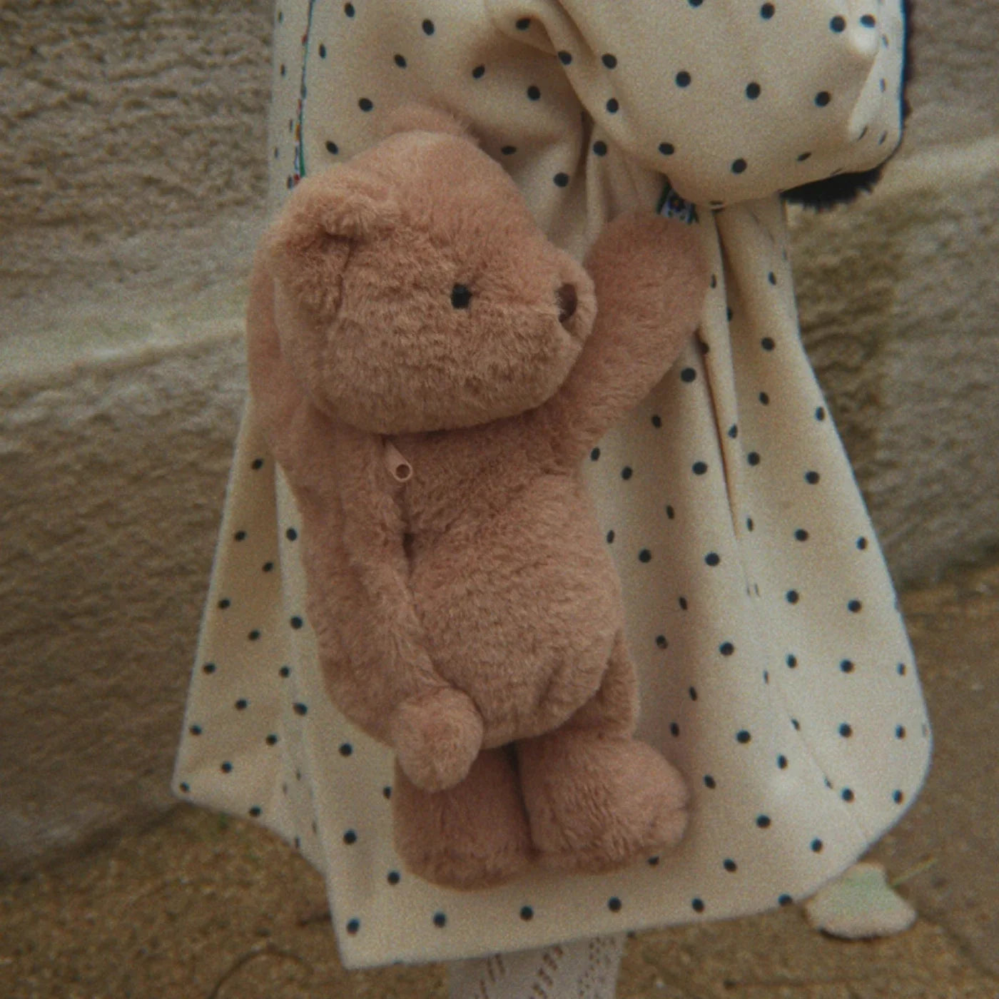 Teddy Bag