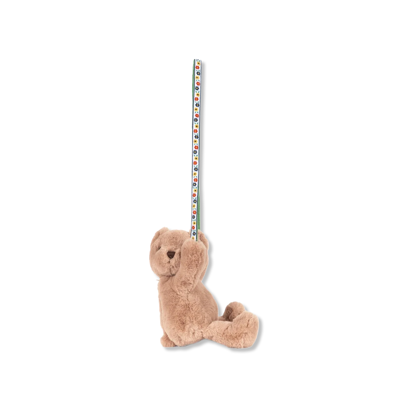 Teddy Bag